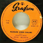 Rüzgar Kırdı Dalımı / Gurbet Akşamları