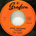 Şarap Mahzende Yıllanır / Solsanda Sararsanda