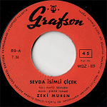 Sevda İsimli Çiçek / Pencerenin Perdesi